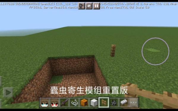 我的世界蠹虫怎么找？（我的世界蠹虫哪里有）