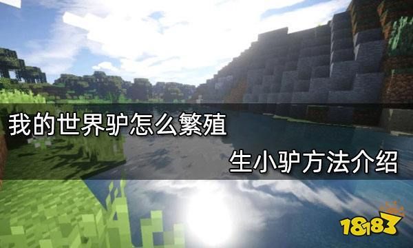 我的世界驴在什么地方刷新？（我的世界驴哪里多）
