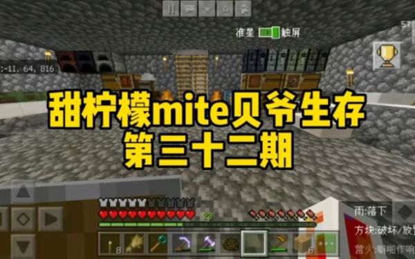 我的世界甜柠檬贝爷种子推荐？（我的世界柠檬在哪里）