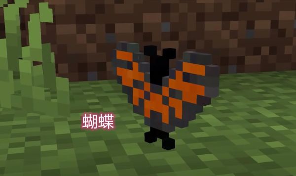 世界上大约有多少种蝴蝶？（我的世界蝴蝶在哪里）