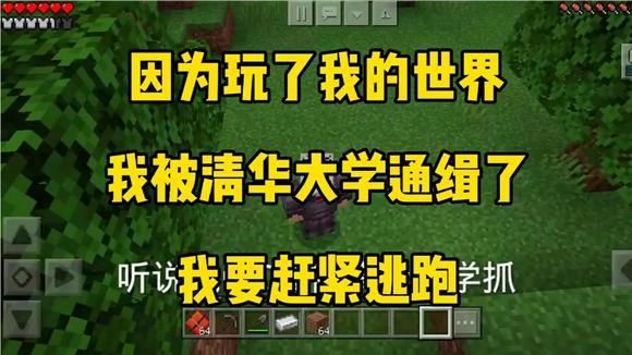 清华大学在云南吗？（我的世界清华在哪里）