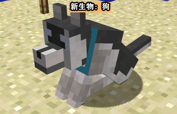我的世界有狗的代码？（我的世界狗哪里有）