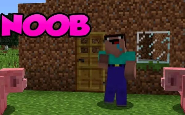 rookie和noob的区别？（我的世界noob在哪里）