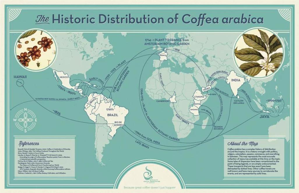 世界三大植物饮料的传播路线？（我的世界茶茶去哪里）