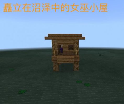 我的世界怎么快速找到女巫的房子？（我的世界小屋在哪里）