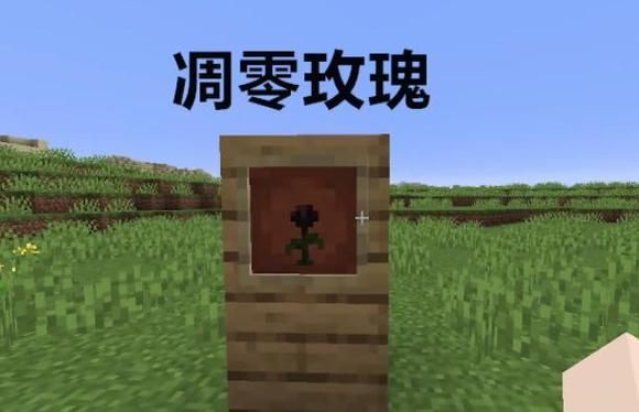 花花了写的小说有哪些？（我的世界的玫瑰在哪里）