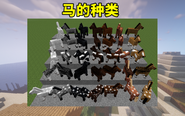 我的世界最好的马品种？（我的世界到哪里下最好）