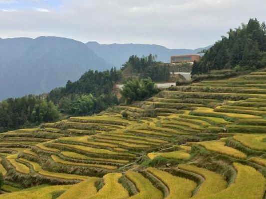 云和梯田山顶住宿哪家看景最好？（我的世界仙鹤农庄在哪里）