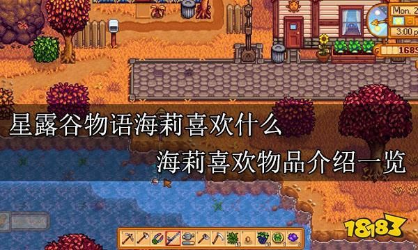 星露谷海丽喜欢什么？（我的世界哪里有虚空石英）