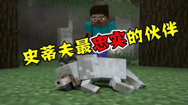 野性的呼唤是真实故事吗？（我的世界狗在哪里出现）