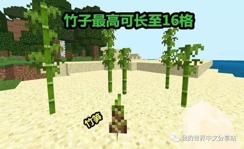 1.8m的竹子能发什么快递？（我的世界1.8竹子在哪里）