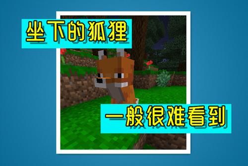 狐狸喜欢住在什么地方？（我的世界狐狸喜欢在哪里）