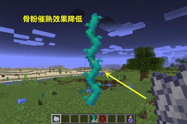 我的世界垂泪藤怎么放？（我的世界垂泪藤放哪里）