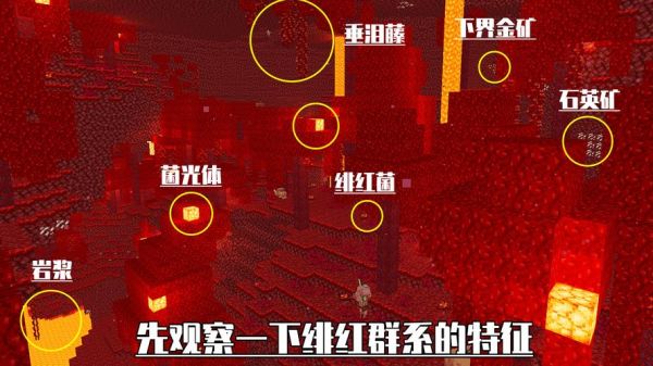 有哪些化学物质是红色的？（我的世界红物质在哪里）
