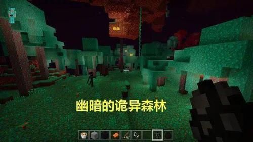 森林之书有多少任务？（我的世界沉睡森林在哪里）