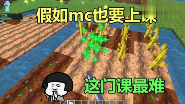 在线上课入口在哪里？（我的世界在线入口在哪里）