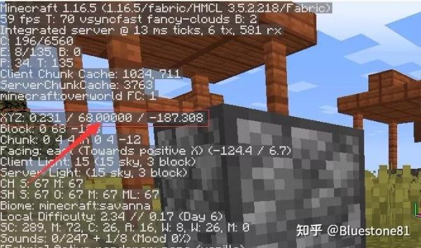 我的世界（Minecraft）如何查看自己的坐标？（java版我的世界在哪里）