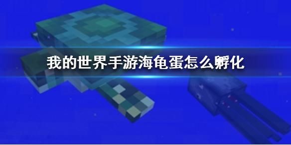 魔兽世界55的海龟哪里有？（我的世界海龟宝宝在哪里）