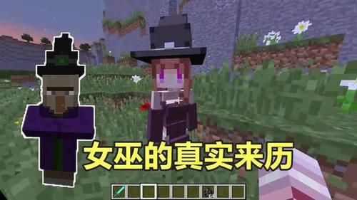 我的世界如何将女巫变成村民？（我的世界女巫哪里可以有）