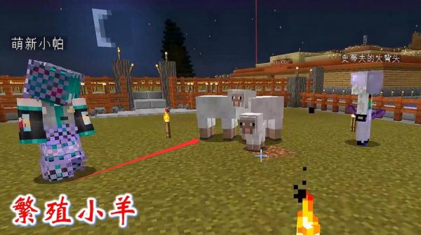 我的世界怎么抓羊来养？（我的世界羊在哪里生存）