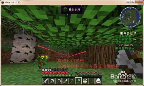 我的世界橡胶树怎么生长树脂？（我的世界树脂在哪里获得）
