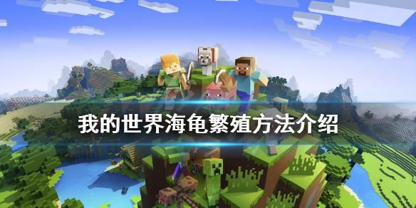 我的世界海龟怎么繁殖？（我的世界海草长在哪里）