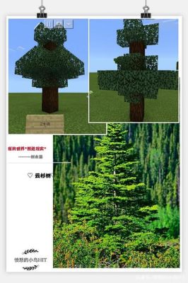 全世界有几种桦树？（我的世界哪里有绿化树种）