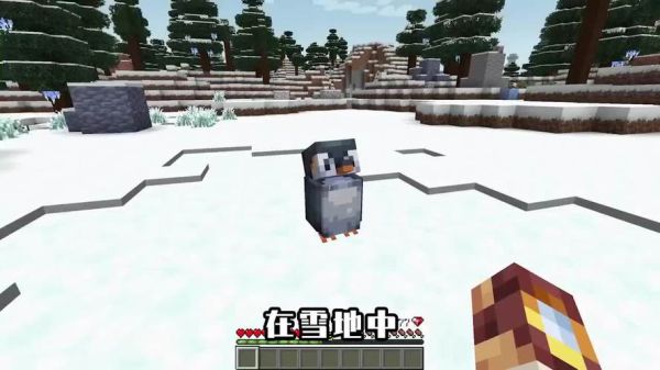 企鹅冬天去哪过冬？（我的世界企鹅皮肤在哪里）