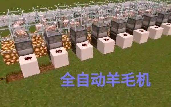 浙江哪里羊毛纺厂多？（我的世界羊毛厂在哪里）