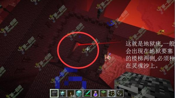 我的世界地狱疣怎么收获？（我的世界地狱胖哪里有）