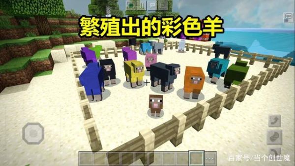 什么品种的羊最小？（我的世界 羊在哪里买）