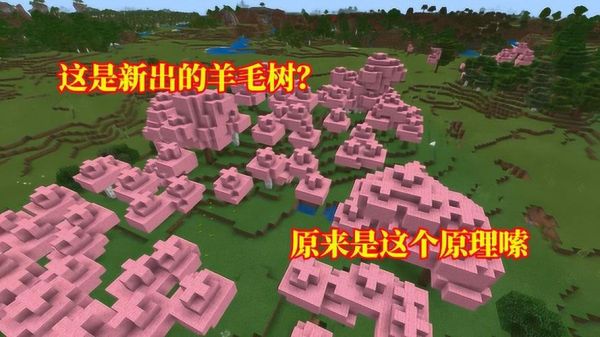 羊毛树是什么样子的？（我的世界羊毛树在哪里）