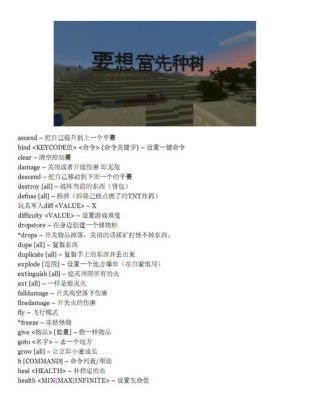 我的世界指令怎么学？（我的世界用指令在哪里）