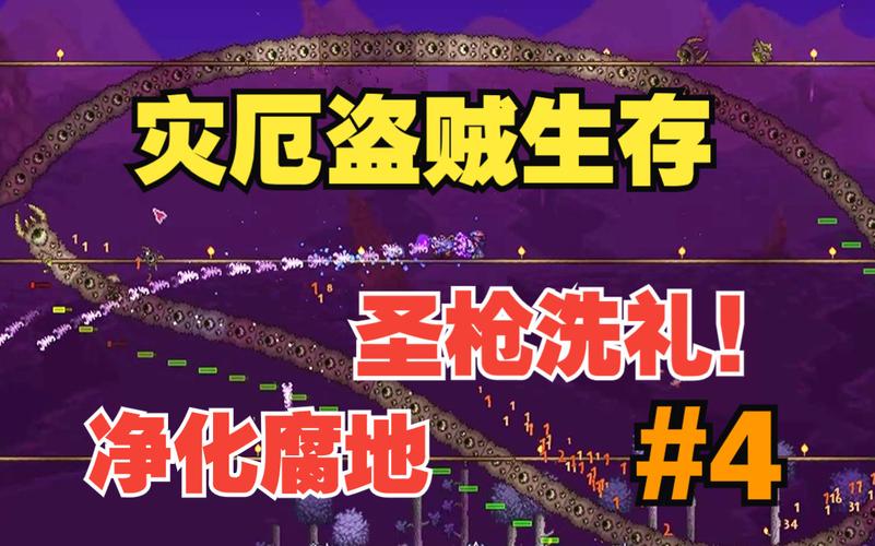泰拉瑞亚灾厄流程？（我的世界紫色飞龙在哪里）