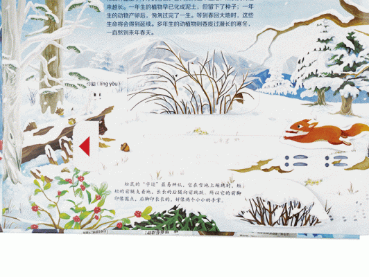 森林报如同一批神奇的骏马把我带到郁郁葱葱的森林中,搜索有趣的动物世界仿写？（我的世界里动物在哪里）