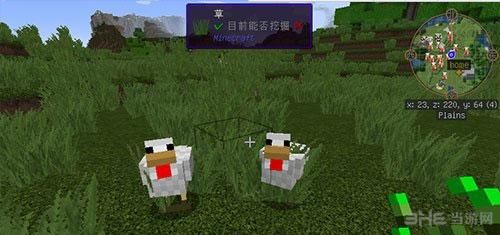 我的世界刷新动物条件？（我的世界鸡刷在哪里）