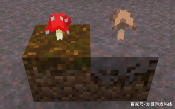 mc棕色蘑菇哪里找？（哪里有小蘑菇我的世界）
