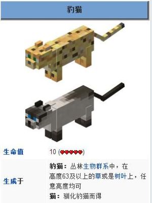 豹猫品种排行？（我的世界豹猫分布在哪里）