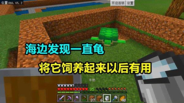 我的世界海龟怎么运？（我的世界海龟都在哪里）