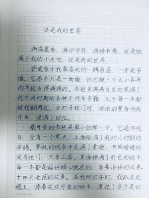 写一篇从你的全世界路过的英语作文？（我的世界在哪里英语作文）