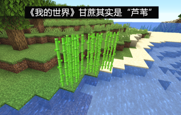 求文笔好的言情小说现言，文笔好的作家？（网易我的世界甘蔗在哪里）