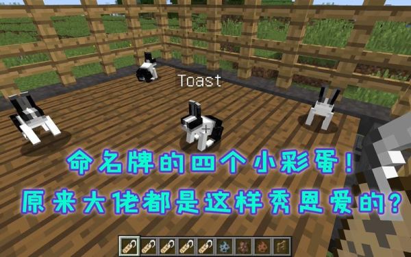我的世界命名牌的彩蛋有哪些？（我的世界哪里有小彩蛋）