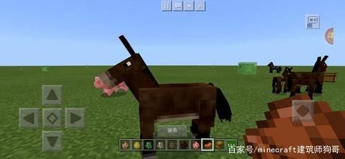 我的世界基岩版坐骑怎么召唤？（我的世界到哪里看坐骑）