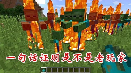 有没有在非洲毛里塔尼亚工作过的大神，来评论聊一聊？（我的世界大神都住哪里视频）