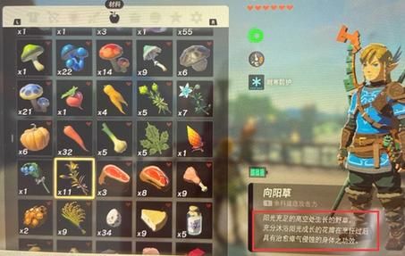塞尔达瘴气伤害怎么恢复？（我的世界瘴气果哪里有）