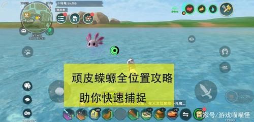 我的世界娃娃鱼从哪找？（我的世界蝾螈住在哪里）