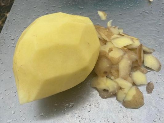 我想知道，土豆削皮了切成一块一块的，能不能放到冰箱里冻起来，下次再吃时拿出来？（我的世界哪里可以拿到土豆）