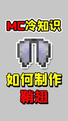 我的世界鞘翅怎么安装？（我的世界里面哪里有鞘翅）