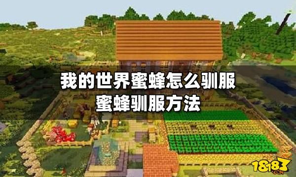 mc怎么把蜜蜂带回家？（我的世界更新蜜蜂在哪里）
