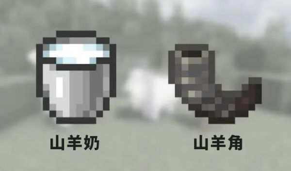 我的世界里家里养的羊,长期不吃草,会死吗？（我的世界哪里找到山羊）